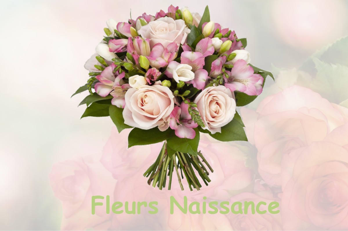 fleurs naissance LOURDOUEIX-SAINT-PIERRE